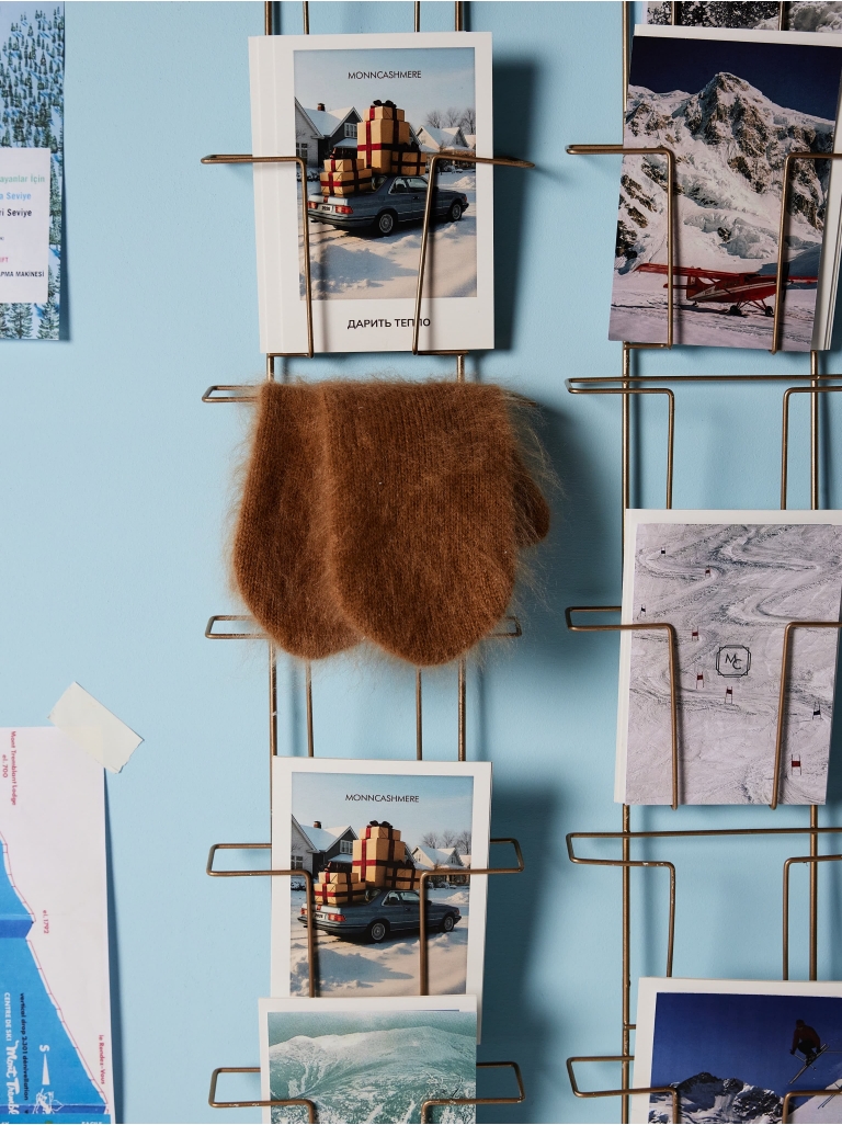 ВАРЕЖКИ BROWNIE