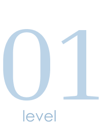 level 4