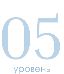 level 4